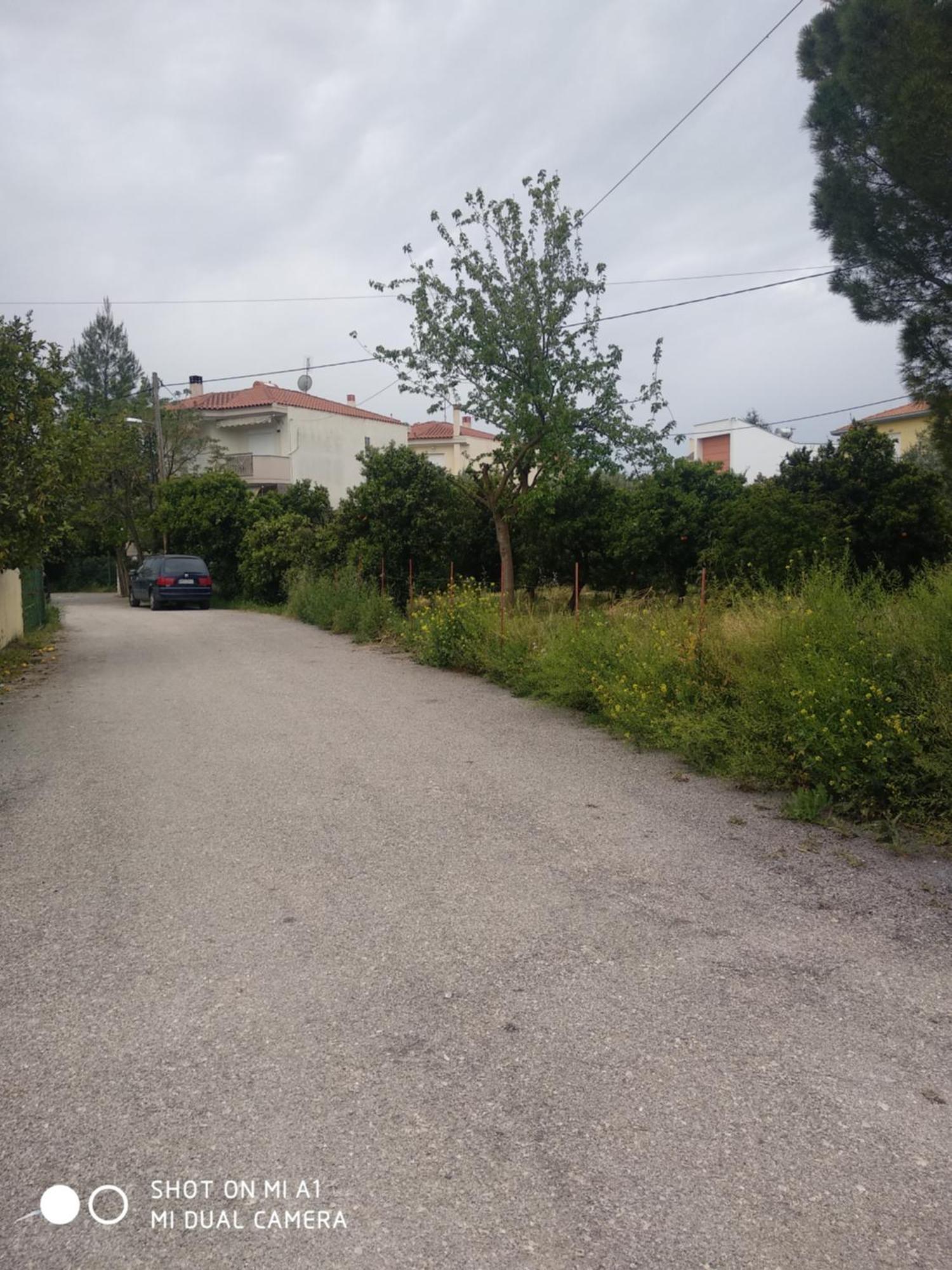 Amelia's House Διαμέρισμα *