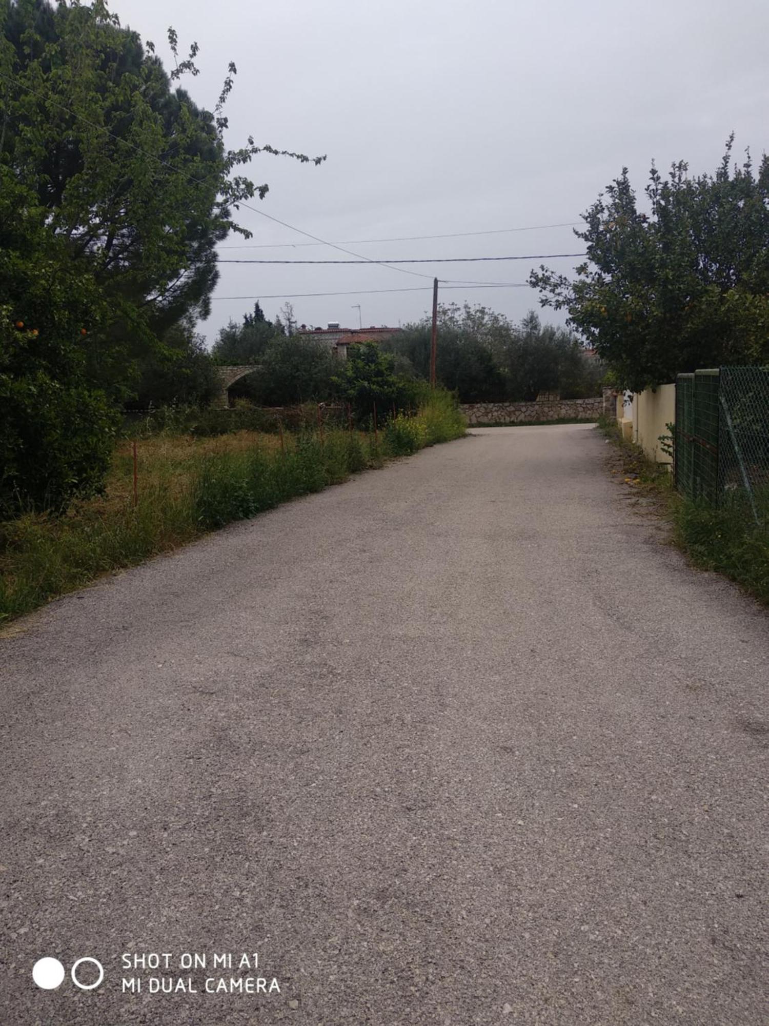 Amelia's House Διαμέρισμα